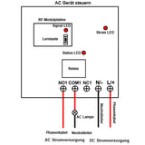 2Km Wasserdicht 1 Kanal 230V 10A Relais Funkschalter mit Fernbedienung (Modell: 0020469)