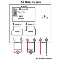 230V 30A Fernbedienung Funkschalter Set 2 Kanal AC Ausgang 5 km (Modell: 0020137)
