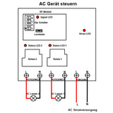 230V 30A Fernbedienung Funkschalter Set 2 Kanal AC Ausgang 5 km (Modell: 0020137)