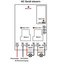 2 Kanal AC 230V Eingang Ausgang 30A Funkschalter Set mit Fernbedienung (Modell: 0020532)